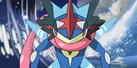 greninja.png