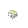 Mystic shaymin