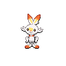 Scorbunny