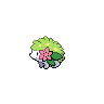 Shaymin Sprite